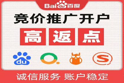 百度推广实战：成功案例解析